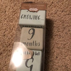 Mud Pie Pastel Blue and Cream Milestone Announcement Blocks